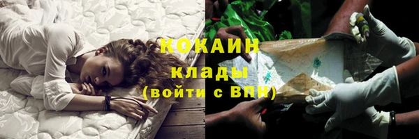стаф Карталы