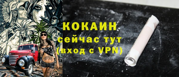 стаф Карталы